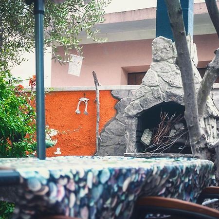 Apartments Branko ザダル エクステリア 写真