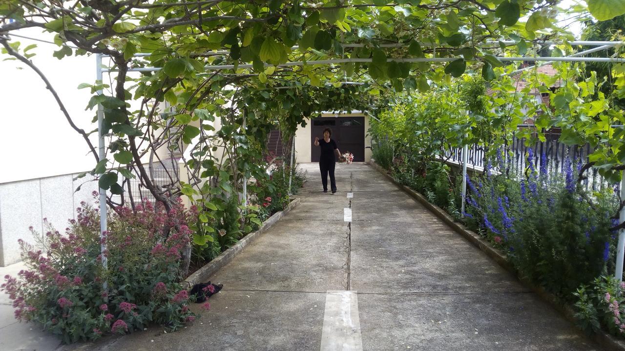 Apartments Branko ザダル エクステリア 写真